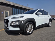 Hyundai Kona 2017