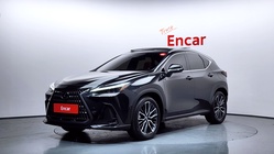 Lexus NX 2024