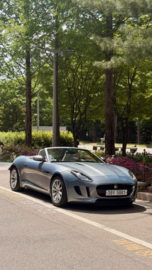 Jaguar F-TYPE 2013