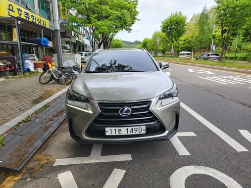 Lexus NX 2015