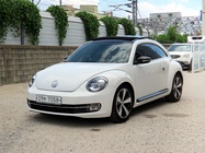 Volkswagen Beetle 2012