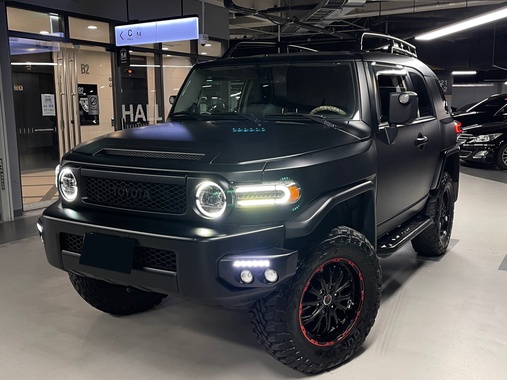 Toyota FJ Cruiser 2010