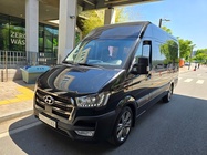 Hyundai Solati 2019