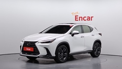 Lexus NX 2024