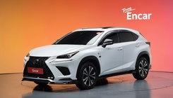 Lexus NX 2020