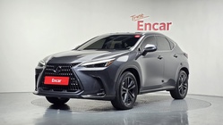 Lexus NX 2024