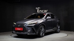 Lexus NX 2023
