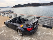 BMW 3 Series 2009