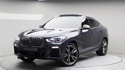 BMW X6 2021