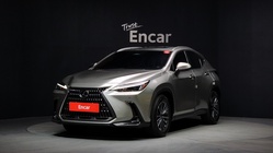 Lexus NX 2023