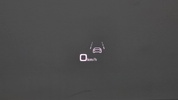 Фото 10
