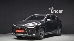 Lexus NX 2023