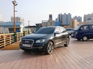 Audi SQ5 2015