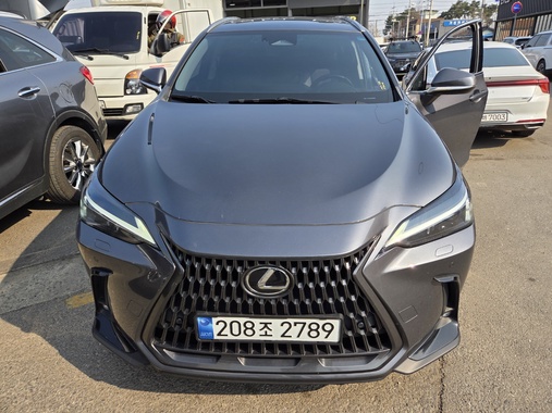Lexus NX 2023
