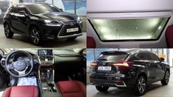 Lexus NX 2019