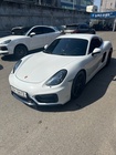 Porsche Cayman 2014