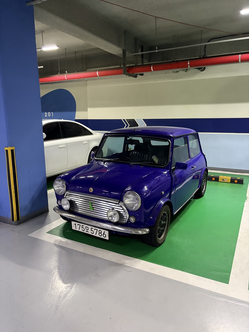 MINI Rover Mini